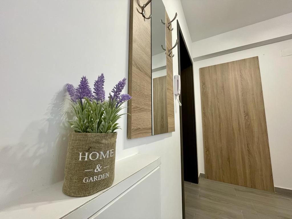 Belvedere Apartments Βουκουρέστι Εξωτερικό φωτογραφία