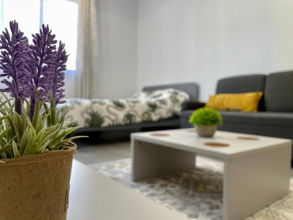 Belvedere Apartments Βουκουρέστι Εξωτερικό φωτογραφία